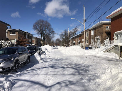 Winter Weekly Snow Removal Pass