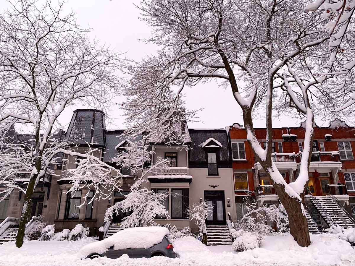 Winter Monthly Snow Removal Pass