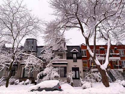 Winter Monthly Snow Removal Pass